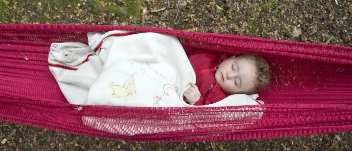 Forest School & Outdoor Learning in Sheffield