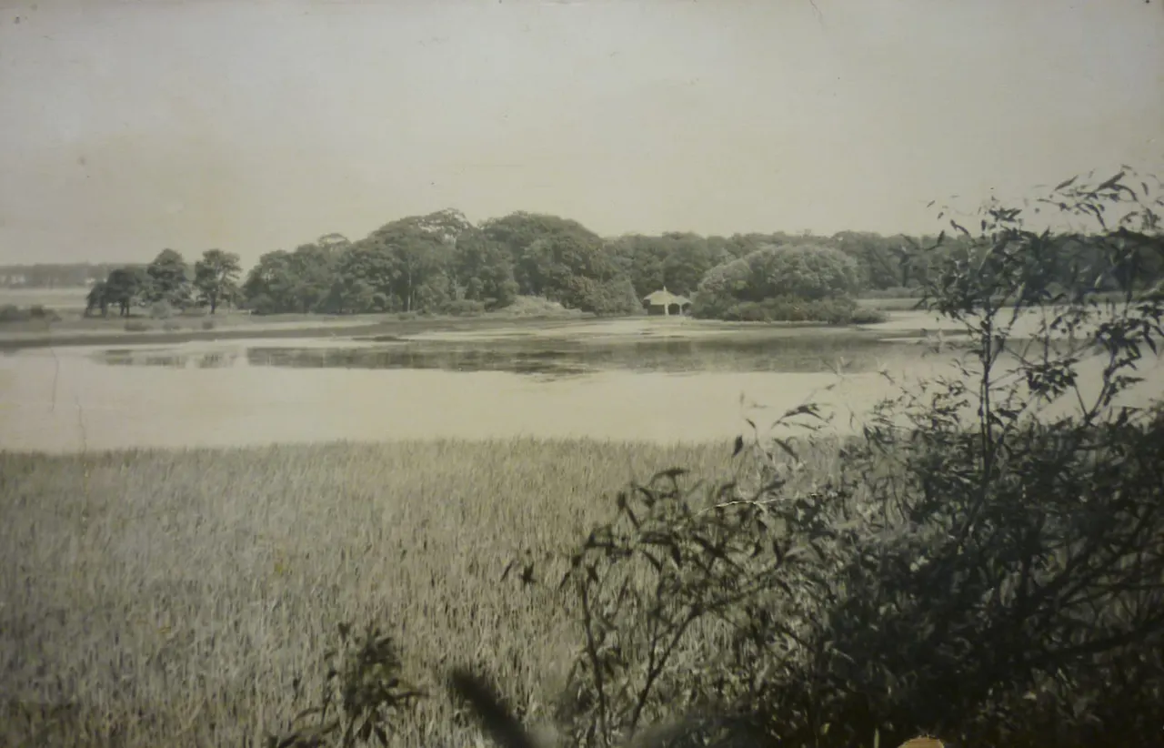 Calm lake with wooded islands and reedy foreground on an overcast day.