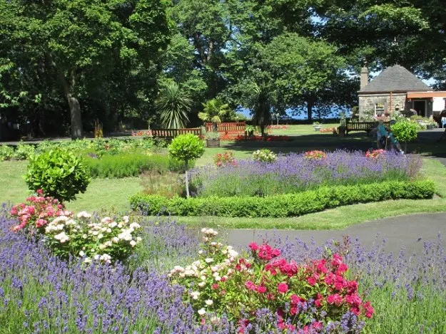 Formal gardens with lavender beds, roses and white flowering plants, manicured lawns, trees and a stone building in the background.