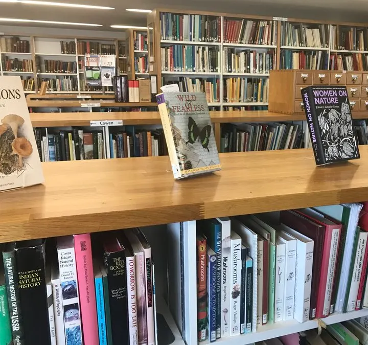 Library desk displaying books and promotional posters with shelves of books visible in background.