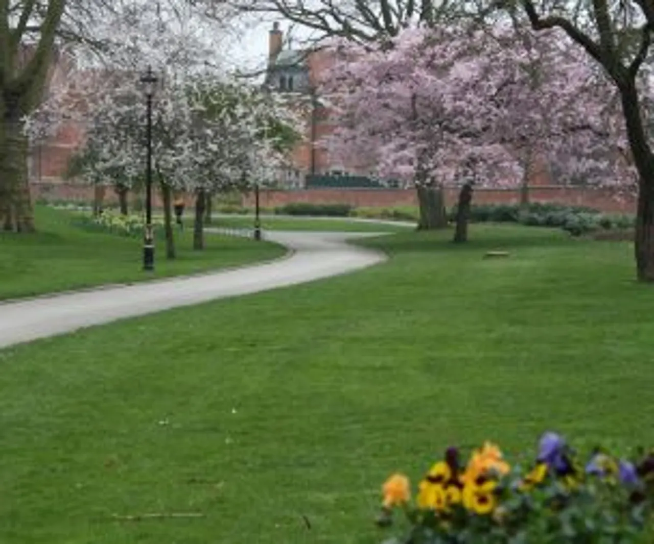 Lawn and pathways at Derby Arboretum