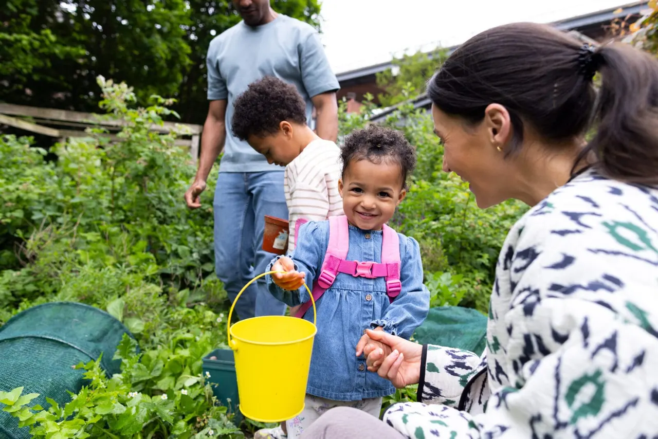 Family picking vegetables in a lush garden with a young child holding a yellow bucket and orange produce.