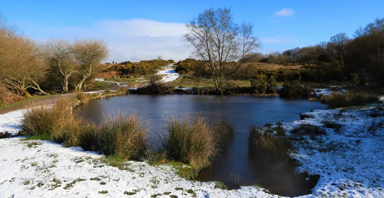 A river winds through a winter landscape with bare trees, frost-covered ground, and distant woodland under blue sky.