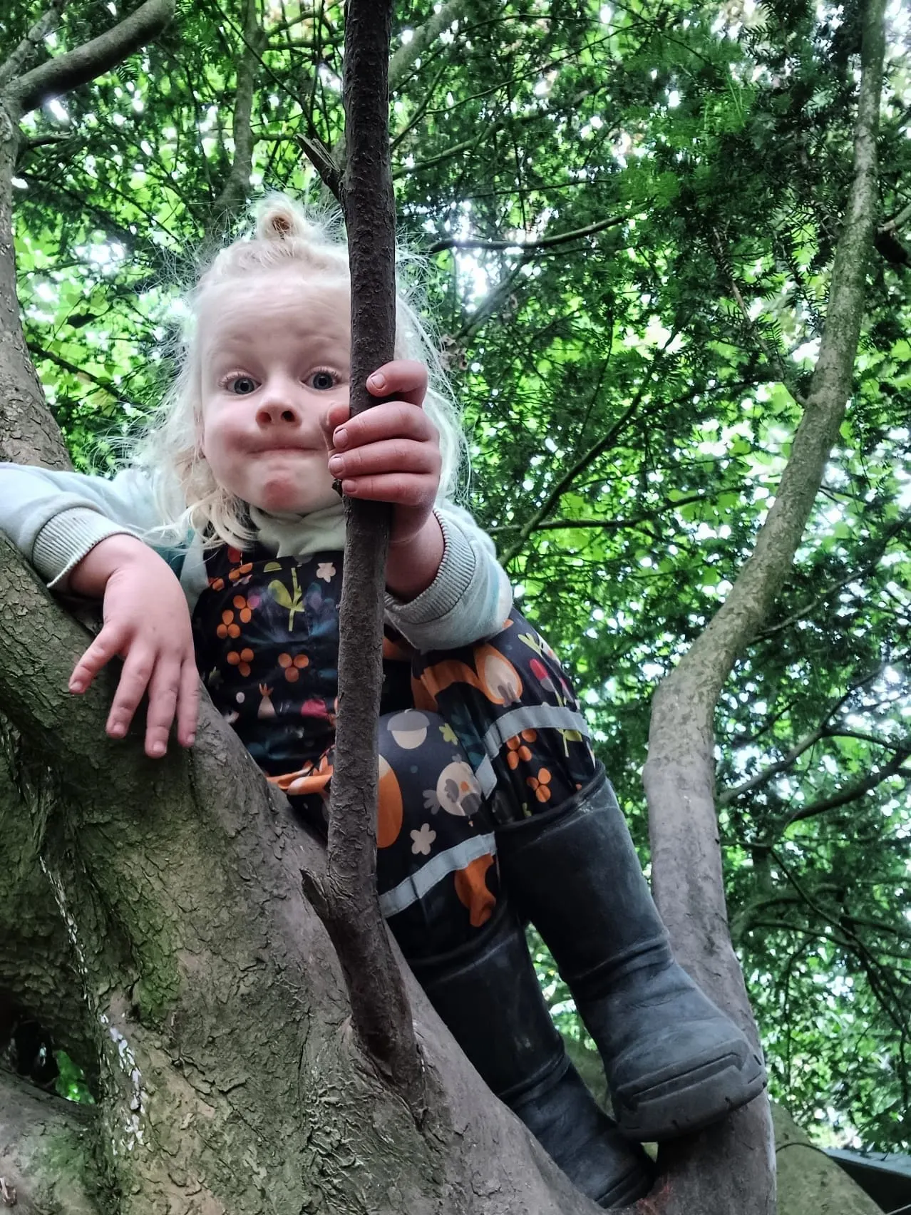 Young child with white blonde hair climbing a tree branch, surrounded by green foliage.