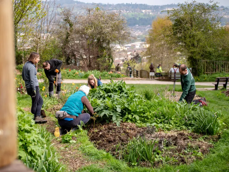 Groups of visitors tending vegetable beds in a community garden with rolling countryside visible beyond.
