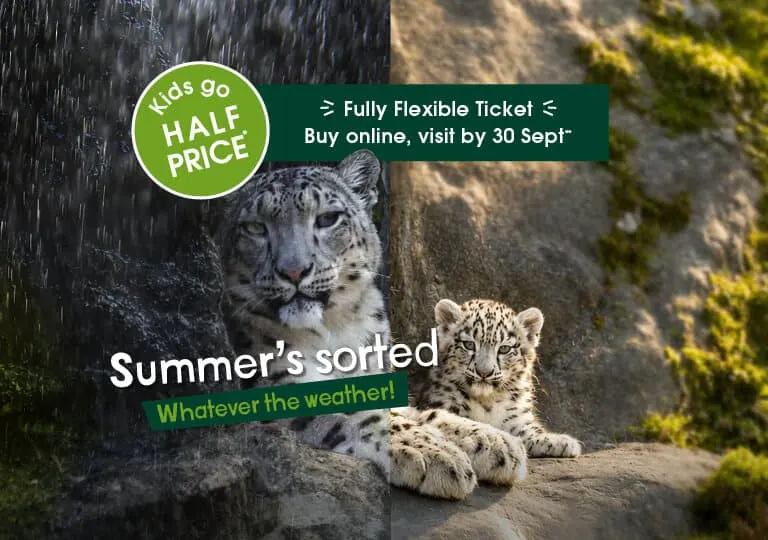 Marwell Zoo