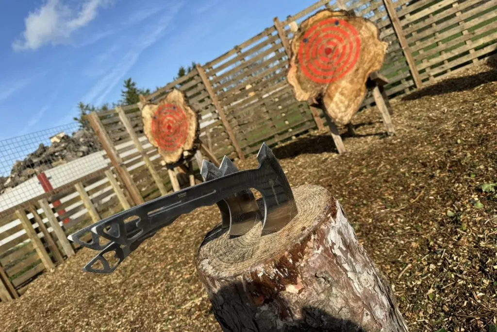 An axe embedded in a wooden stump with red-bullseye targets and wooden barriers visible in the background at an axe-throwing venue.
