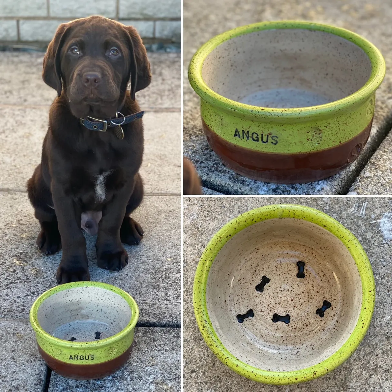 This is a GRAPHIC - a composite image showing a dog with personalized bowls rather than a single photograph of an actual scene.