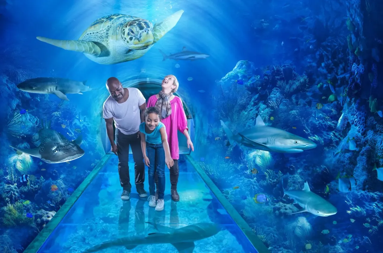 Aquariums & Sea Life in Brighton