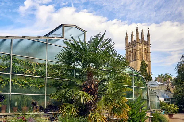 Palm tree in front of a glasshouse with a gothic cathedral tower visible in the background.