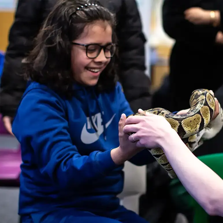 Child wearing glasses and blue top smiling while holding a python with staff member's hands guiding.