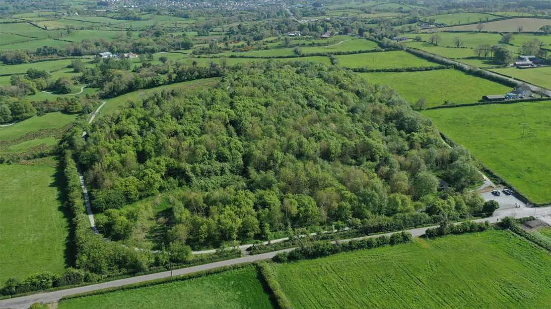 Aerial view of a densely wooded hill surrounded by green fields, with a road running along its base and scattered farmsteads visible in the distance.