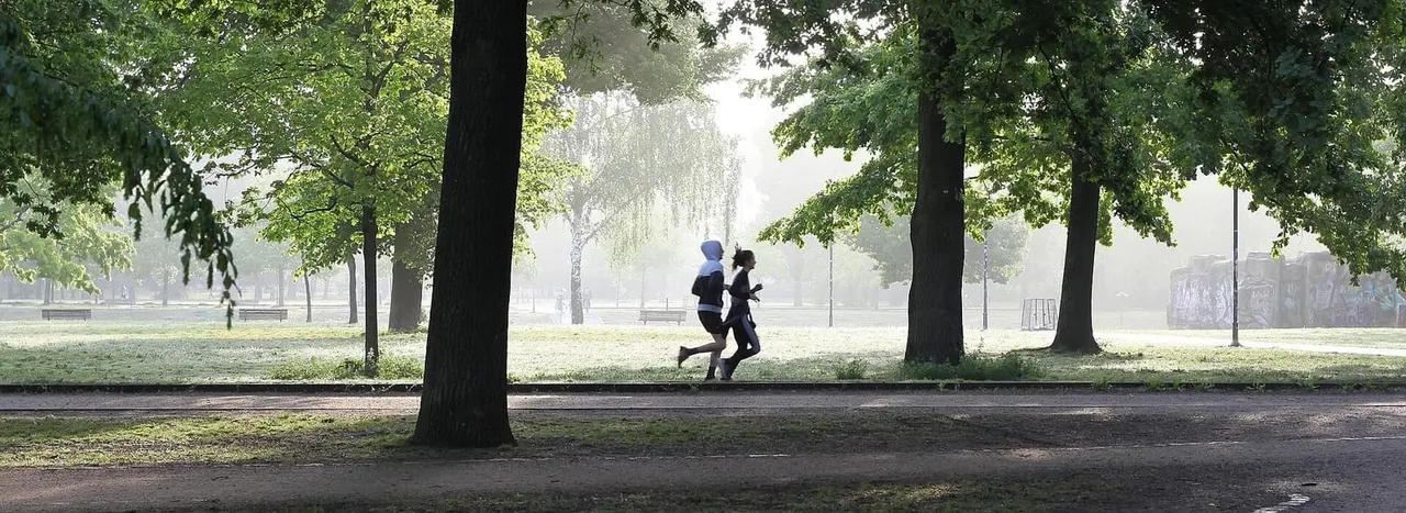 Two people jogging on a tree-lined path through a misty park.