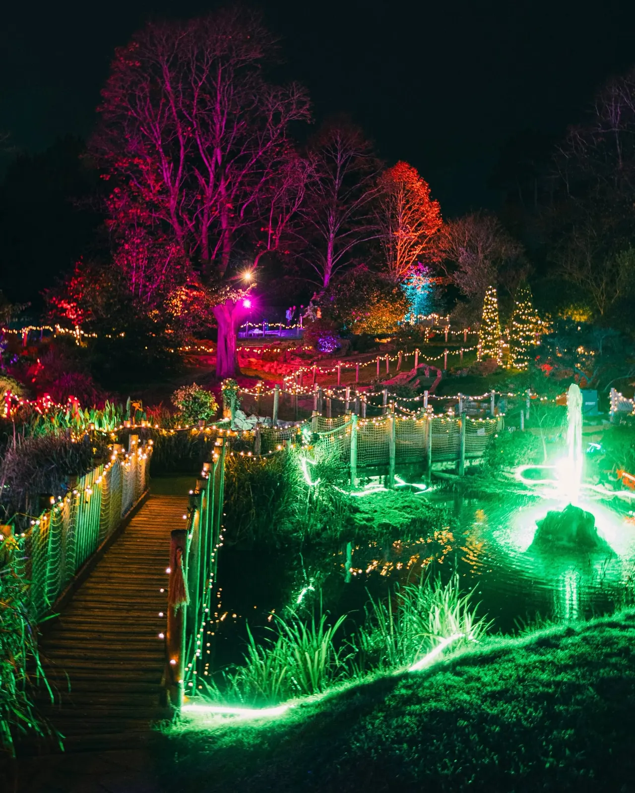 Illuminated garden at night with colourful LED lighting on trees, pathways, fences and a fountain, creating a festive winter display.