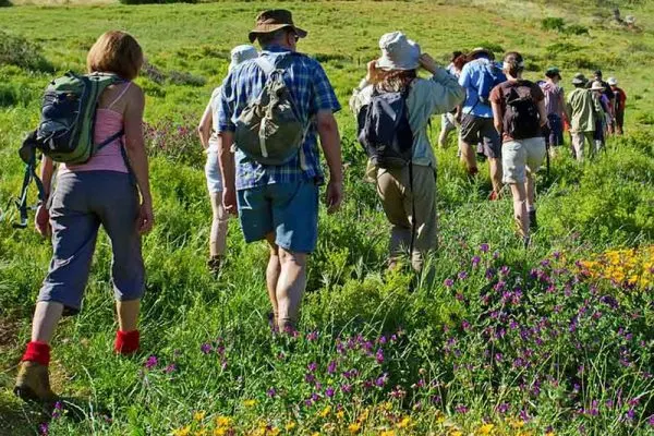 Group of hikers walking across a green hillside dotted with wildflowers in summer.