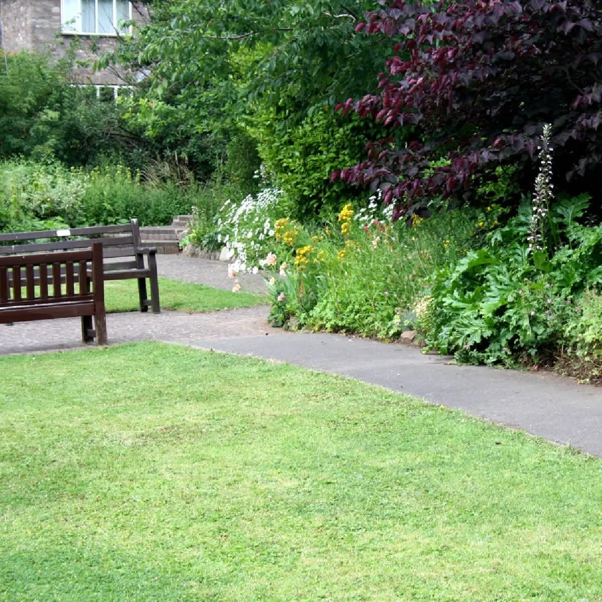 Garden grounds with wooden bench, paved path, manicured lawn and flowering borders beneath ivy-covered walls.