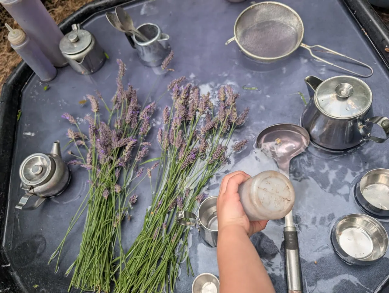 Hand holding a cake next to lavender bunches and metal kitchenware on a tray during an outdoor activity.