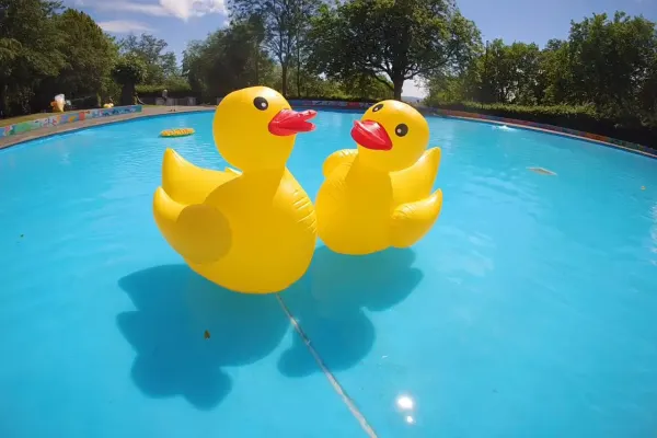Two large yellow inflatable ducks floating in a bright blue paddling pool on a sunny day.