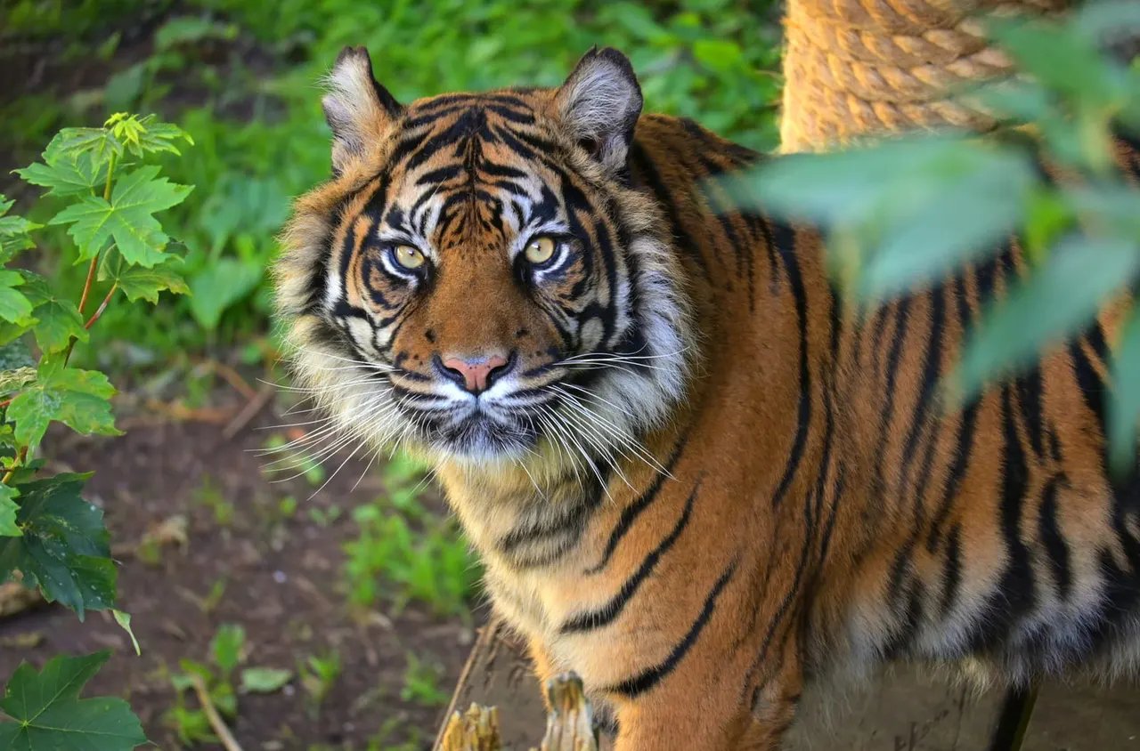 Zoos & Wildlife Parks in Brighton