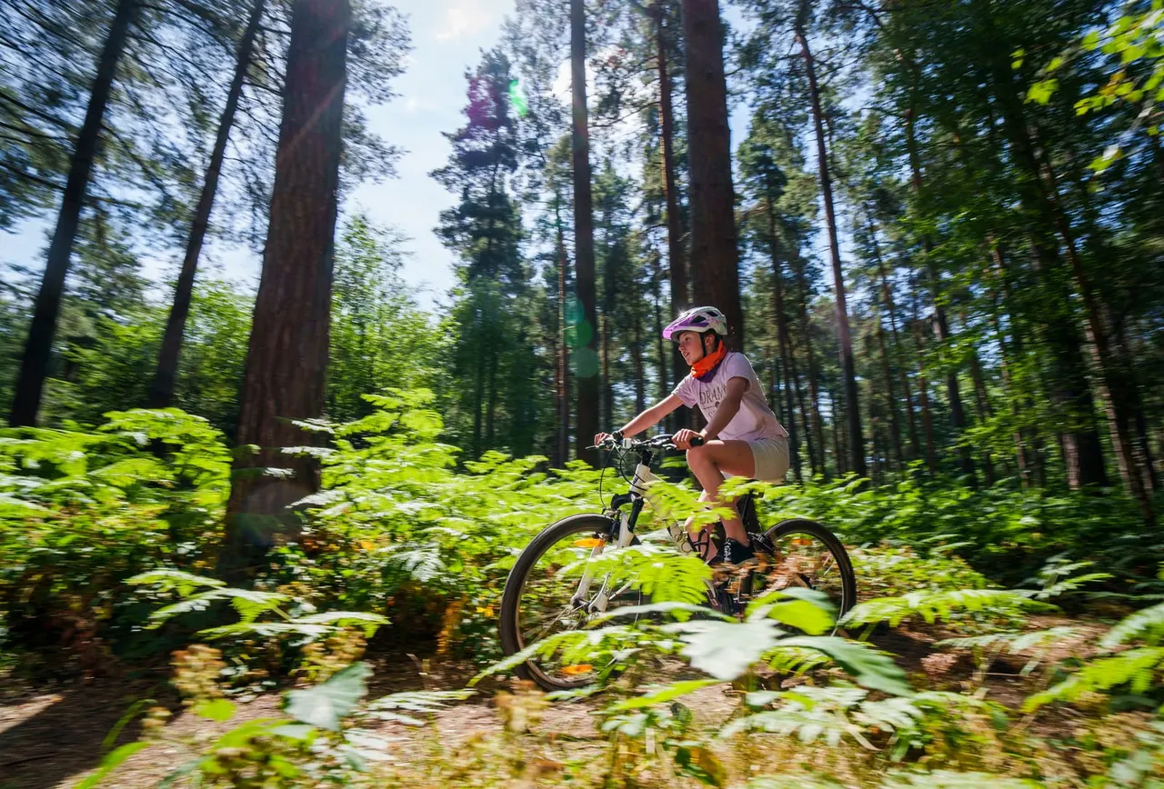 Forest rider at Sherwood Pines
