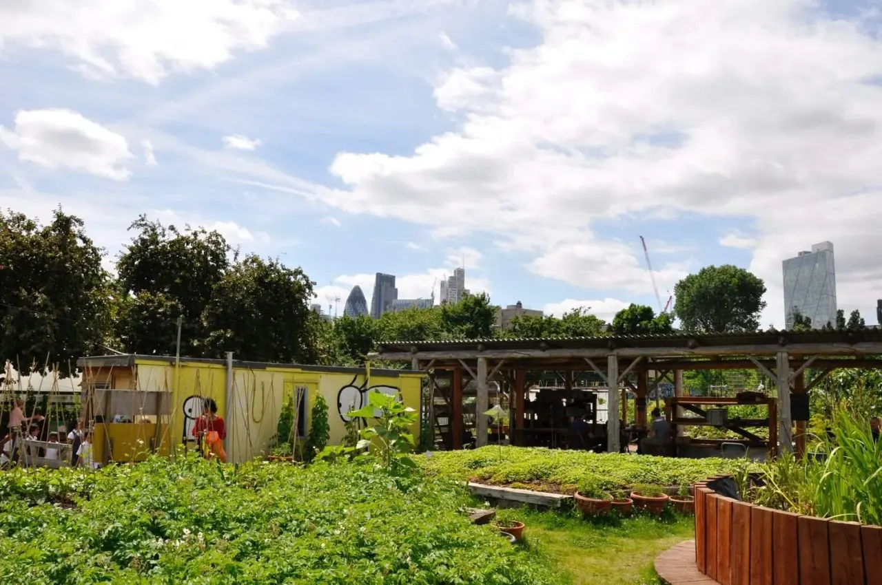 Urban community garden with vegetable plots, wooden structures and city skyline beyond.