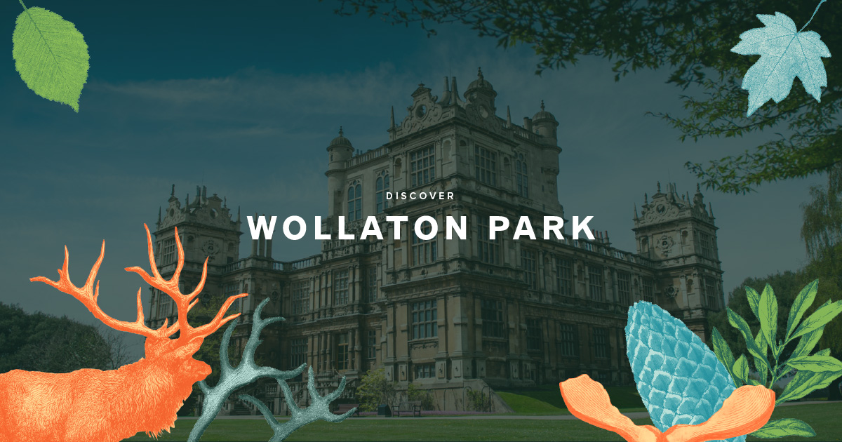 Wollaton Hall & Deer Park