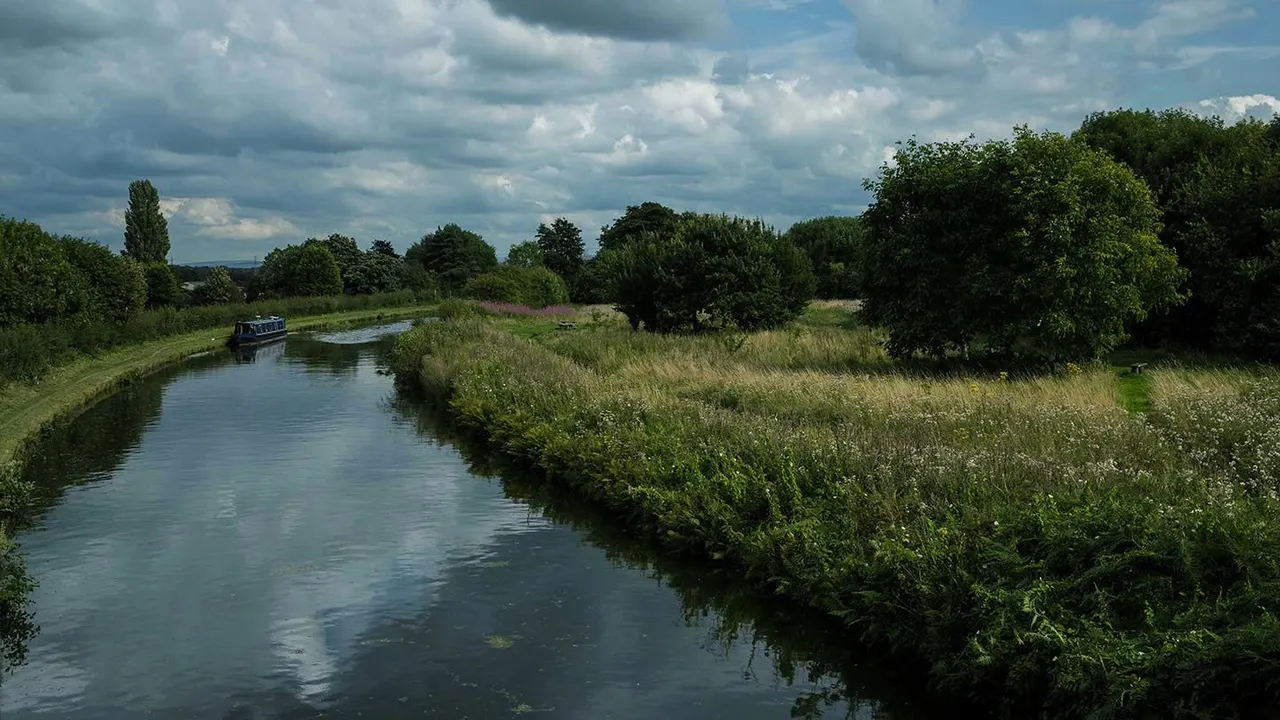 A narrowboat on a calm canal surrounded by lush green vegetation and wildflower meadows under a cloudy sky.