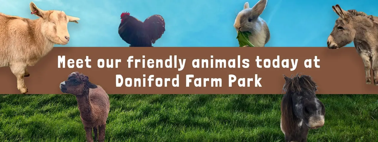 Doniford Farm Park