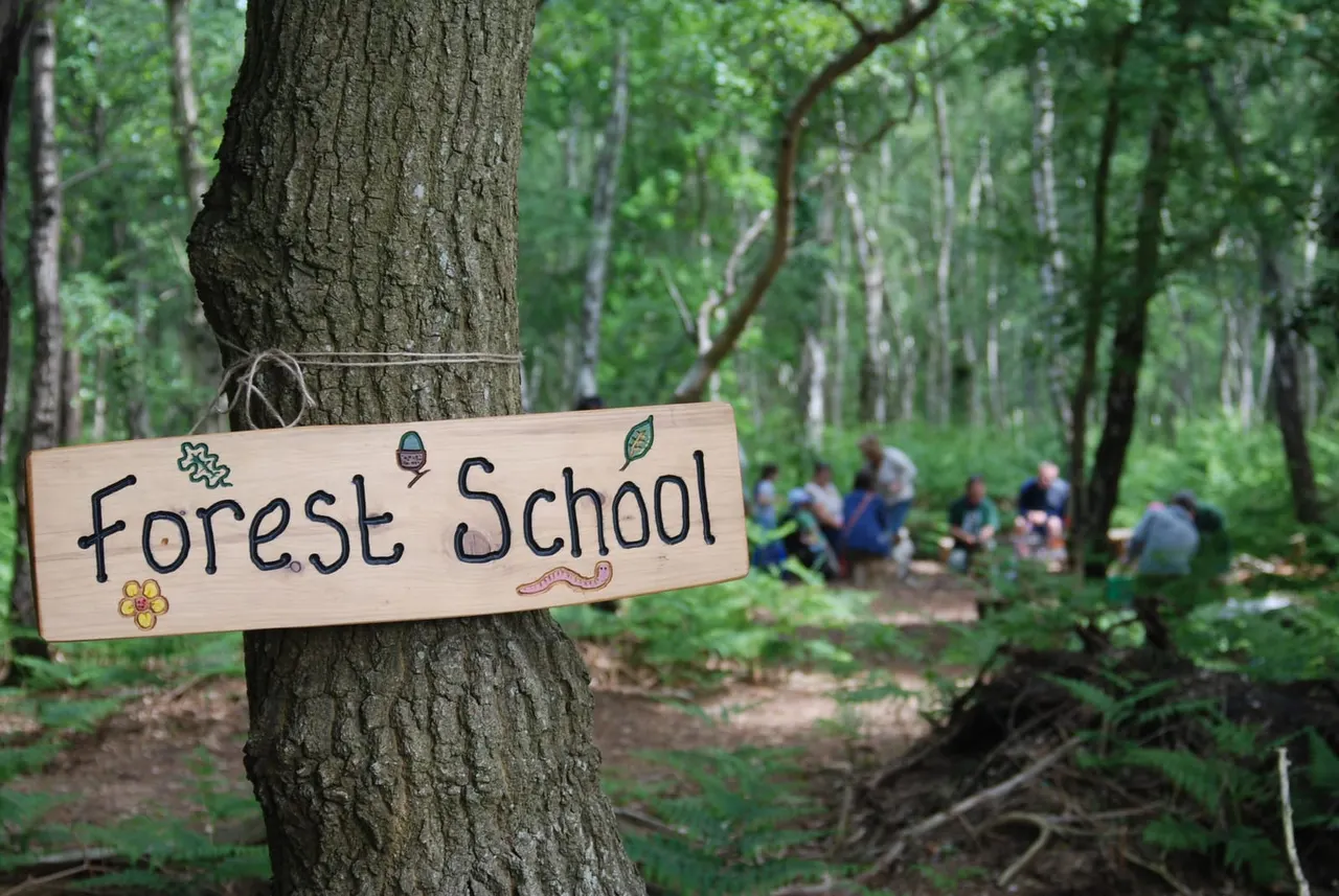 A wooden "Forest School" sign attached to a tree trunk, with children gathered in a woodland clearing behind it.