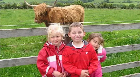 Three young children in red jackets posing by a fence with a long-horned cow in a green field behind them.