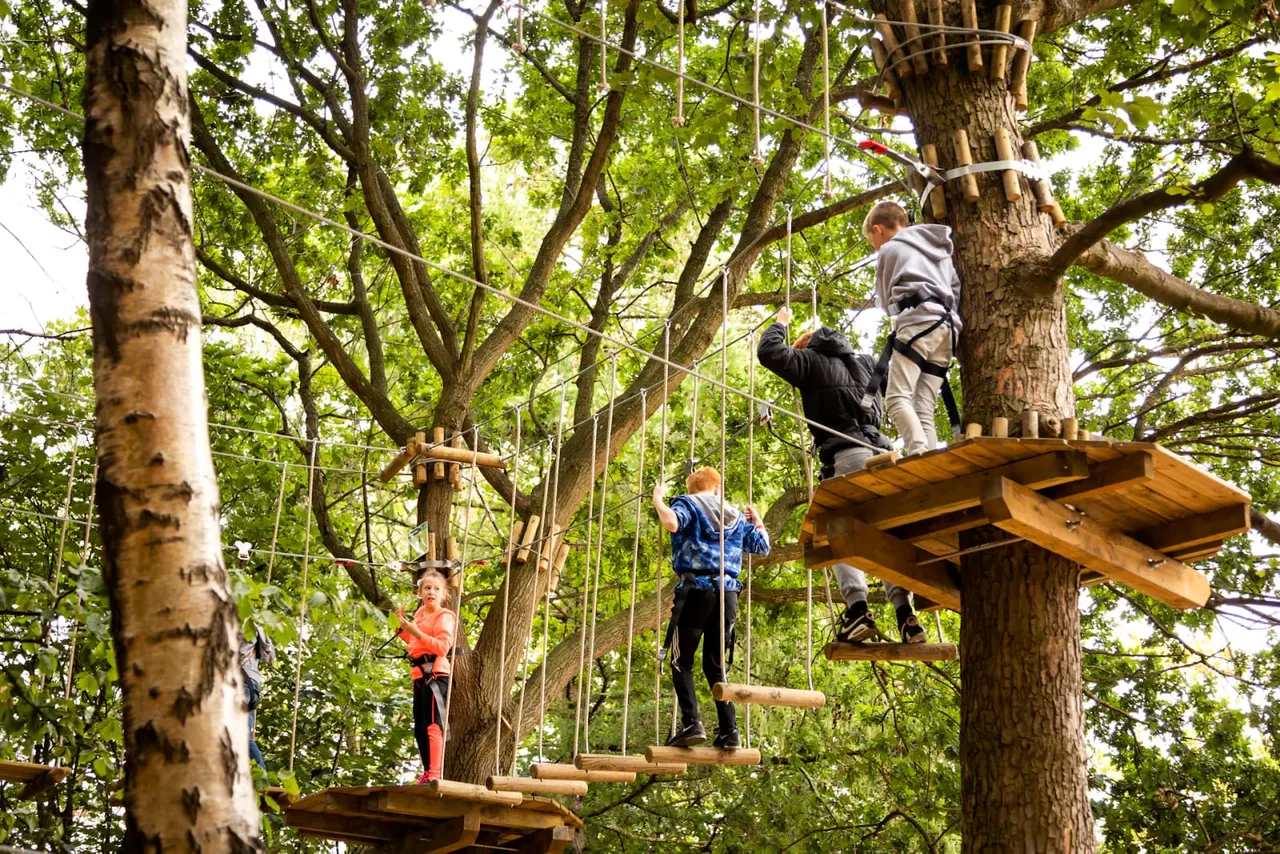 Children navigating an outdoor treetop course with wooden platforms and rope elements among tall trees.