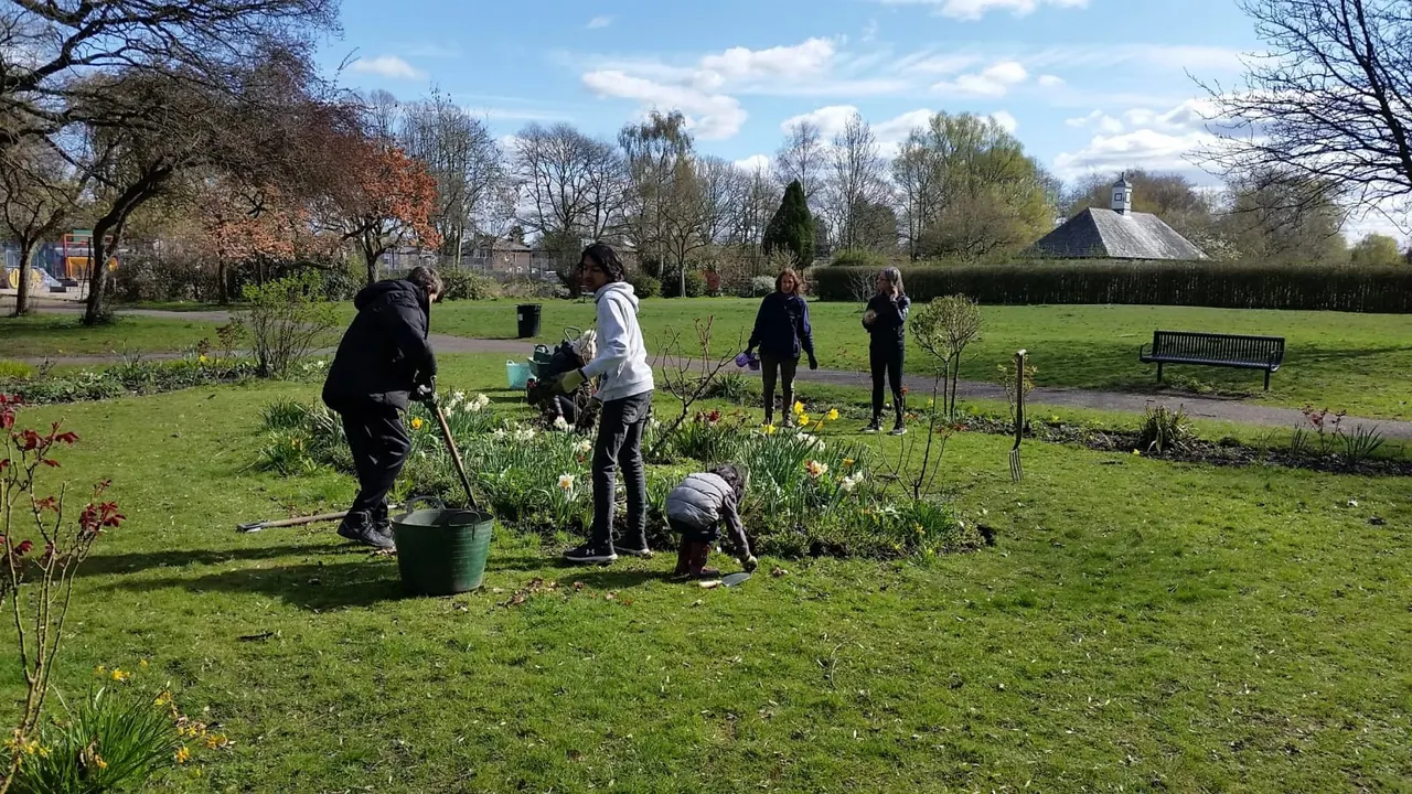 A group of people planting trees and shrubs in a spacious public park on a spring day.