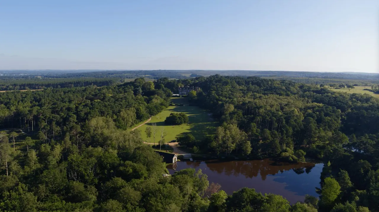Aerial view of extensive woodland and parkland with a river, castle, and open grassland beneath clear sky.