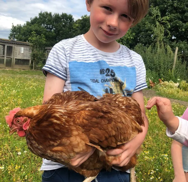 Child holding a brown hen in a grassy farmyard with outbuildings behind.