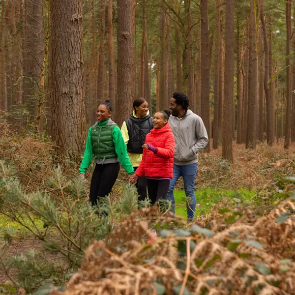 Four people jogging together on a woodland trail lined with tall coniferous trees.