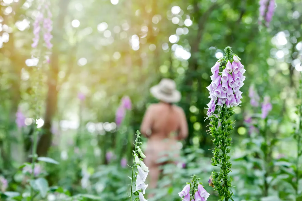 Person in straw hat exploring a garden of purple and white bell-shaped flowers in bloom.