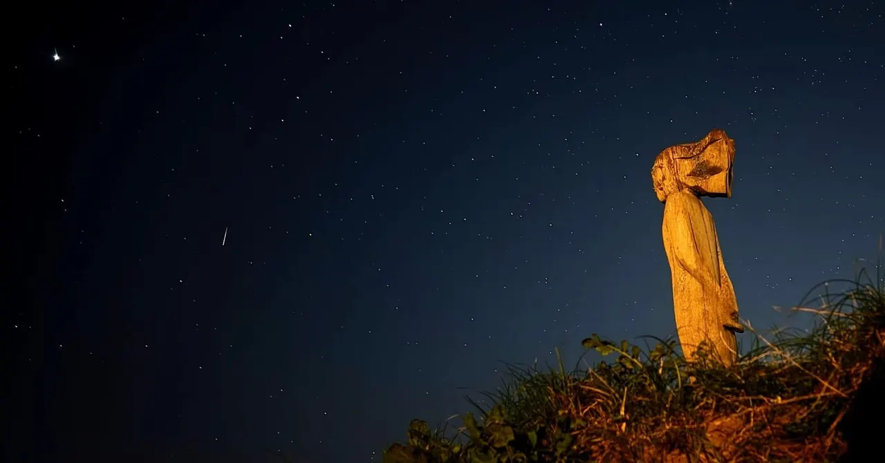 Illuminated wooden sculpture silhouetted against a starry night sky above scrubland.