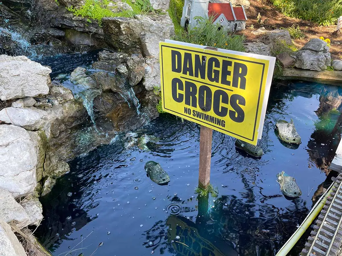 Yellow warning sign reading "Danger Crocs No Swimming" posted beside a small pond with crocodiles visible in the water amongst rocks.
