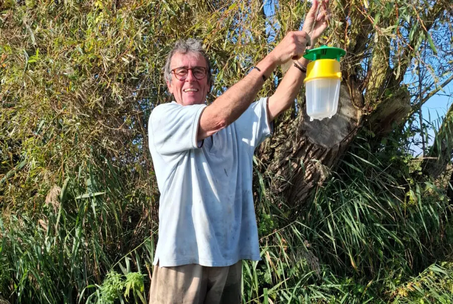 Man holding an insect trap among tall reeds and vegetation by a broad.