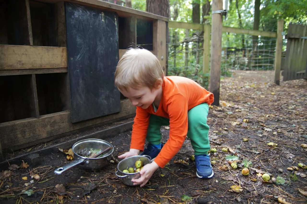 Young child collecting fallen fruit in metal pan at outdoor farm enclosure.