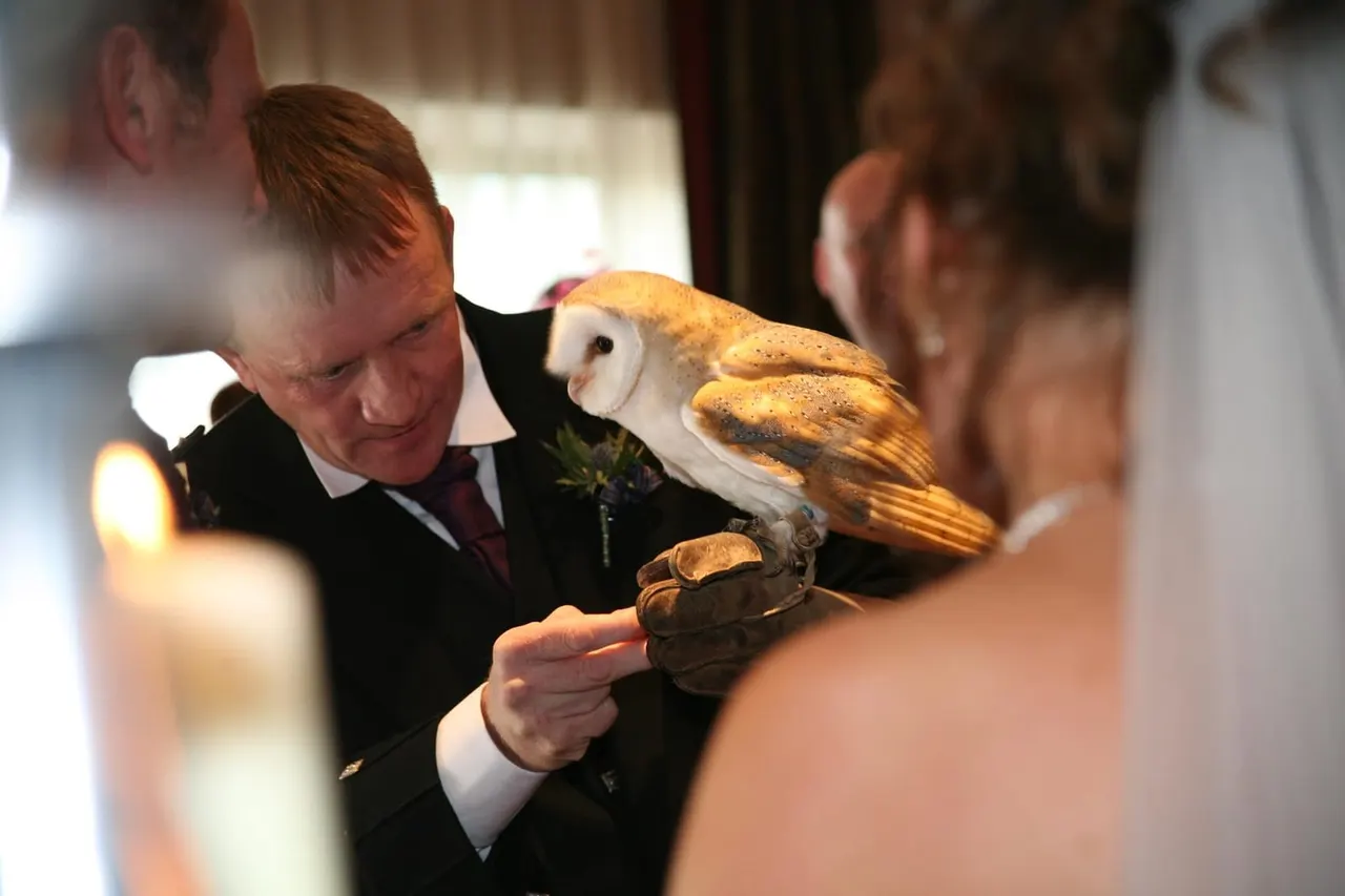Man in formal dress holding a barn owl on his gloved hand whilst demonstrating to visitors indoors.