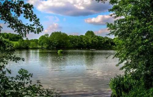 Langold Country Park