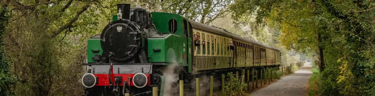 A green and red steam locomotive with passenger carriages travelling through a tree-lined railway track.