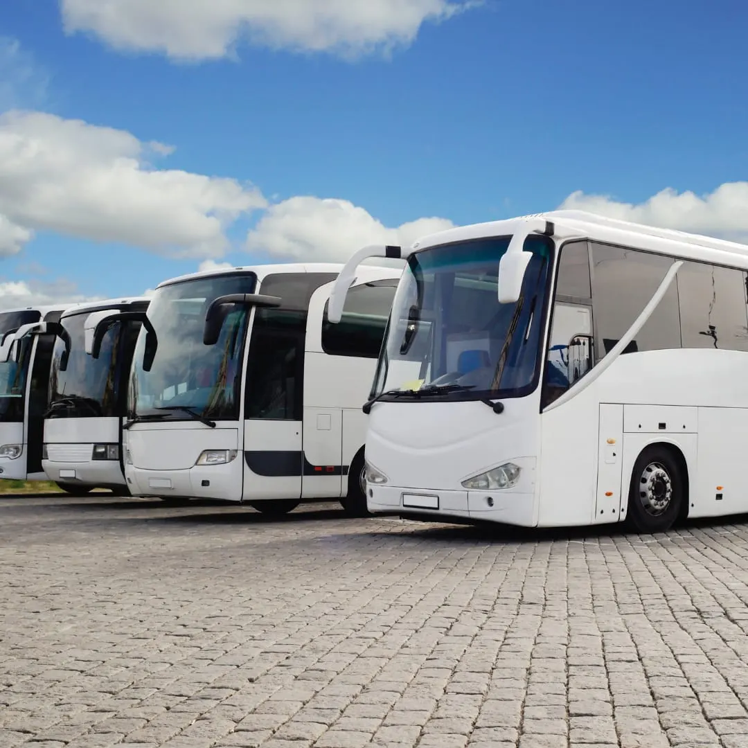 A row of white coaches parked in a line on a paved surface under blue sky with white clouds.