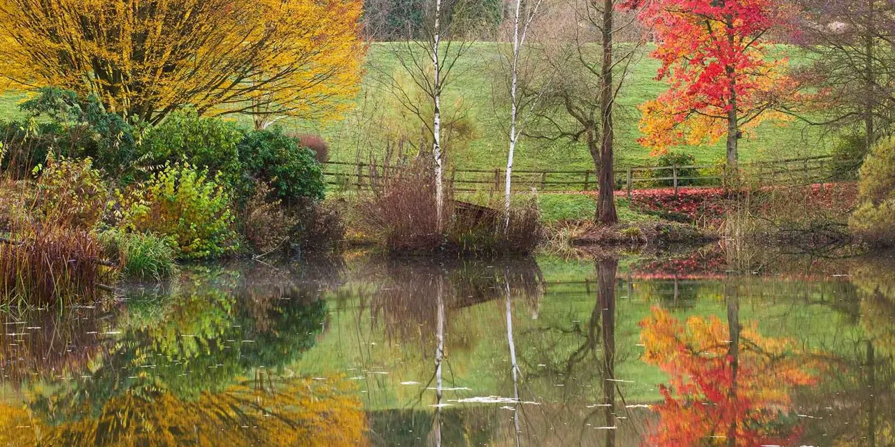 Autumn foliage in yellow, red and orange reflected in a still pond, surrounded by trees and pasture.