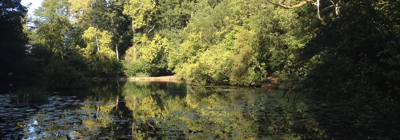 Country Parks & Nature Reserves in Bristol