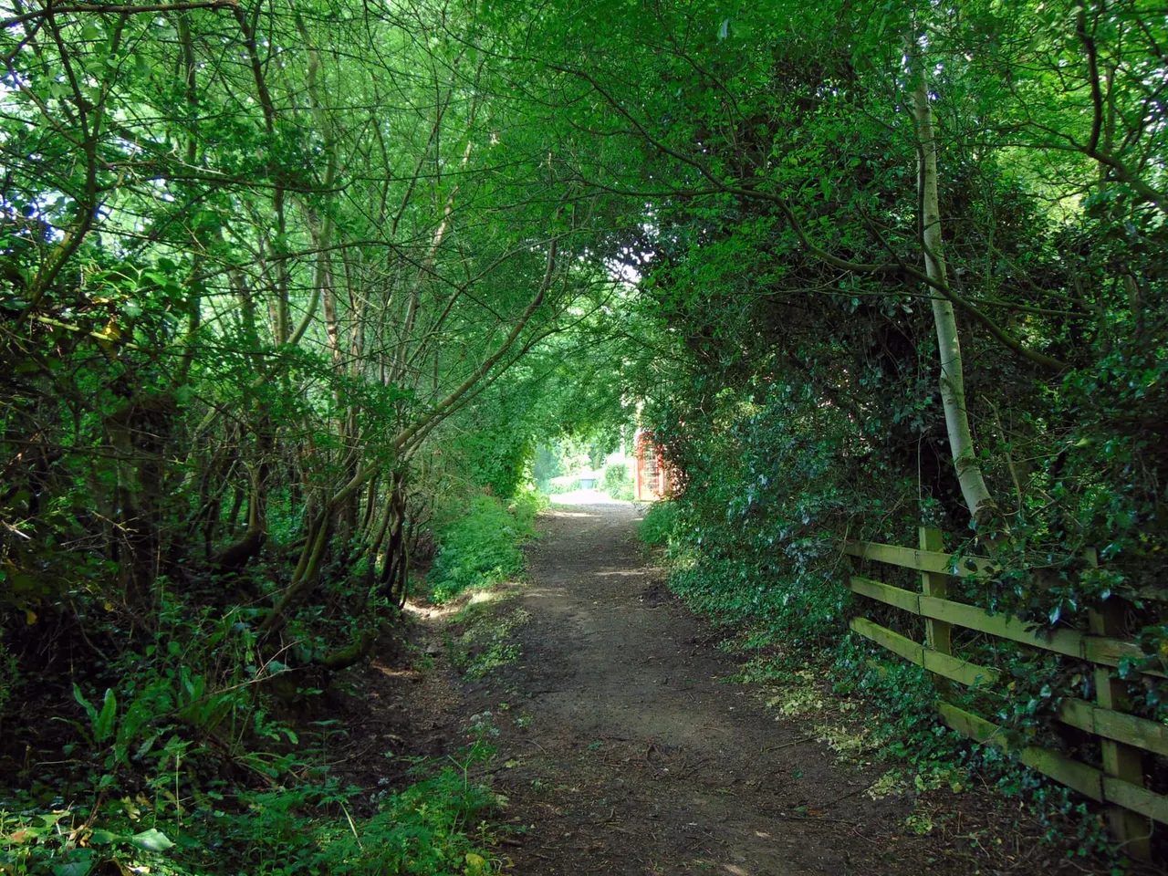 Country lane and fields near Lambley Dumbles in Gedling
