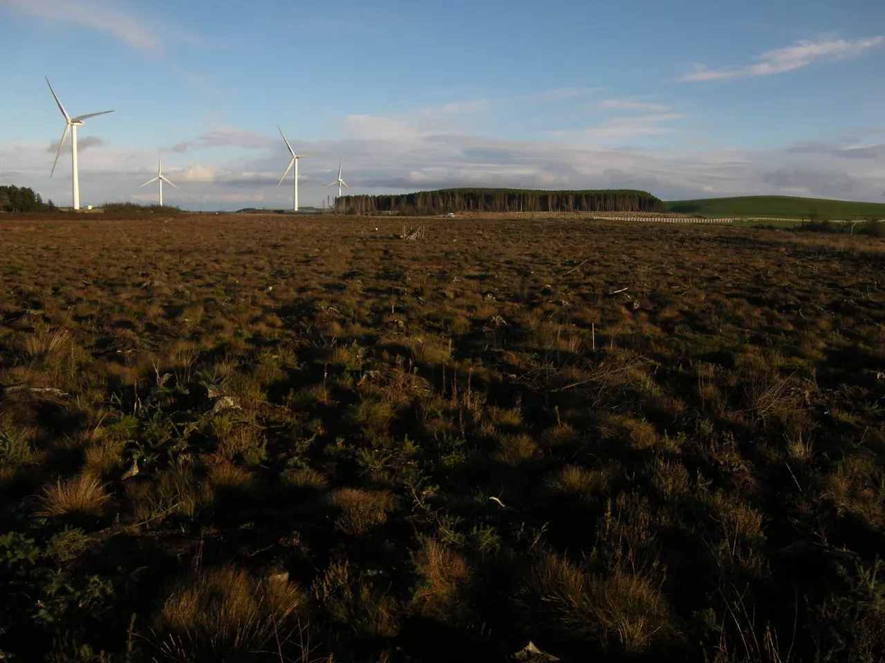 Wind turbines across moorland with coniferous forest and rolling hills beyond under a partly cloudy sky.