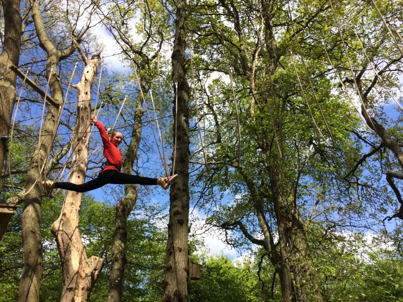Person in red jacket swinging between tall trees on a rope course in a woodland setting.