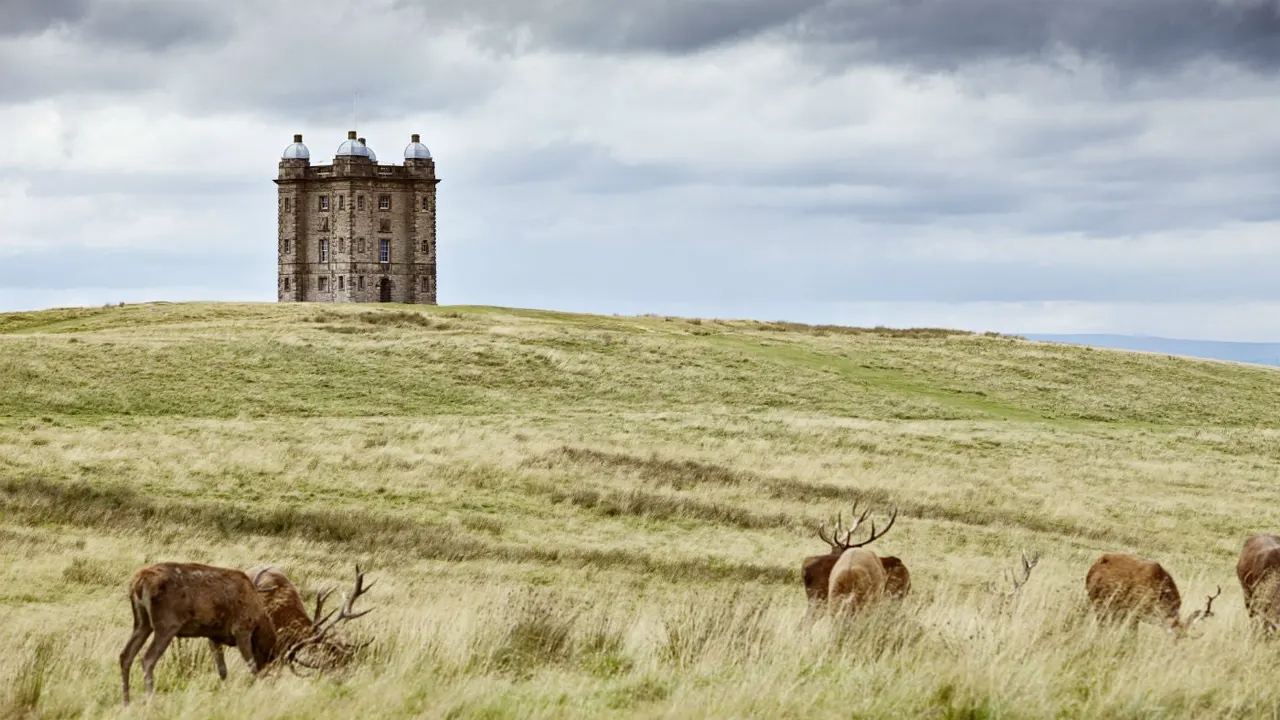 A stone tower stands on a grassy hilltop with deer grazing in the moorland below under cloudy skies.